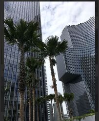 Duo Residences (D7), Apartment #578575081